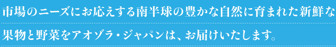 市場のニーズにお応えする南半球の豊かな自然に育まれた新鮮な果物と野菜をアオゾラ・ジャパンは、お届けいたします。